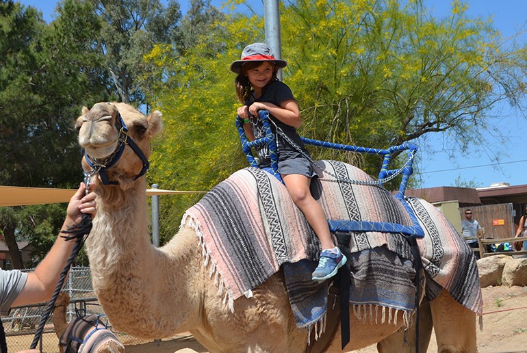 Riding-Camel-Phx-Zoo-H