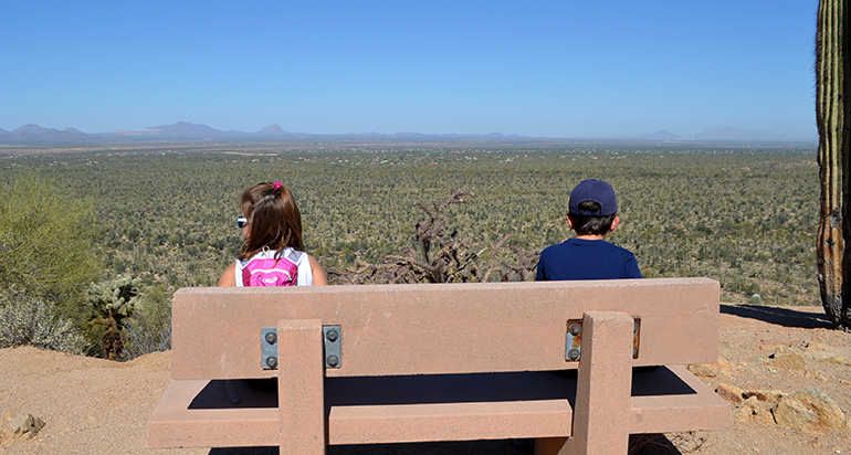 Tucson :: Arizona-Sonora Desert Museum, Saguaro National Park {Arizona}