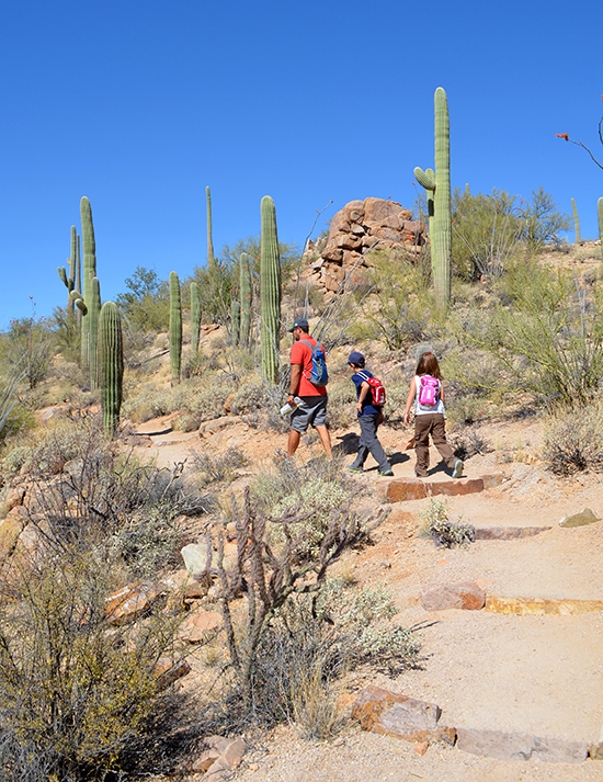 Saguaro-National-Park-hiking-trails