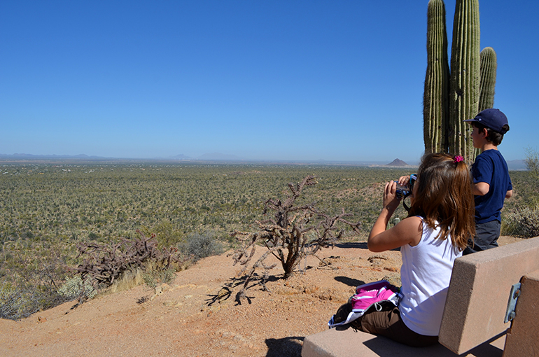 Saguaro-National-Park-hiking-with-kids