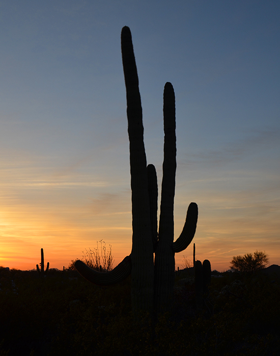 Sunset-Gilbert-Ray-campground