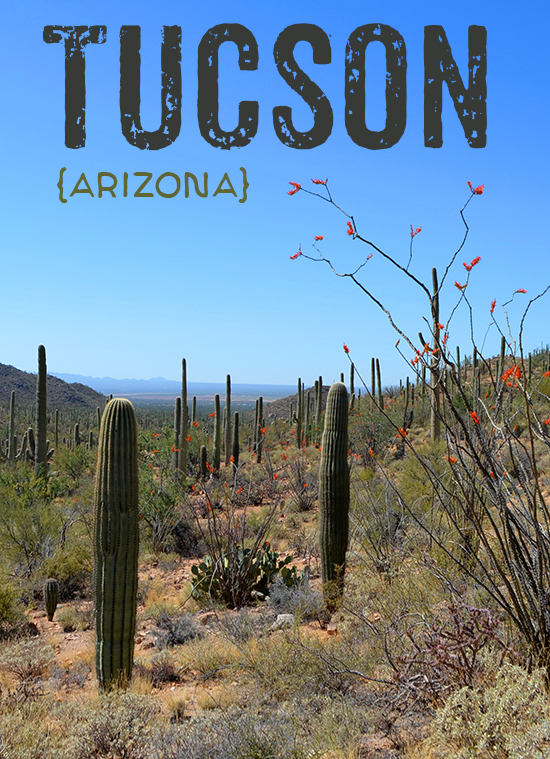 Tucson-Arizona-Travel-Airstream