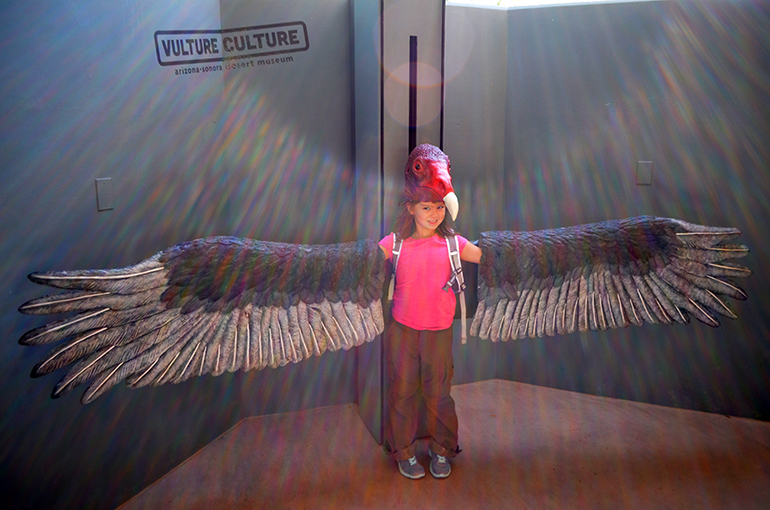 Vulture-Display-Arizona-Sonora-Desert