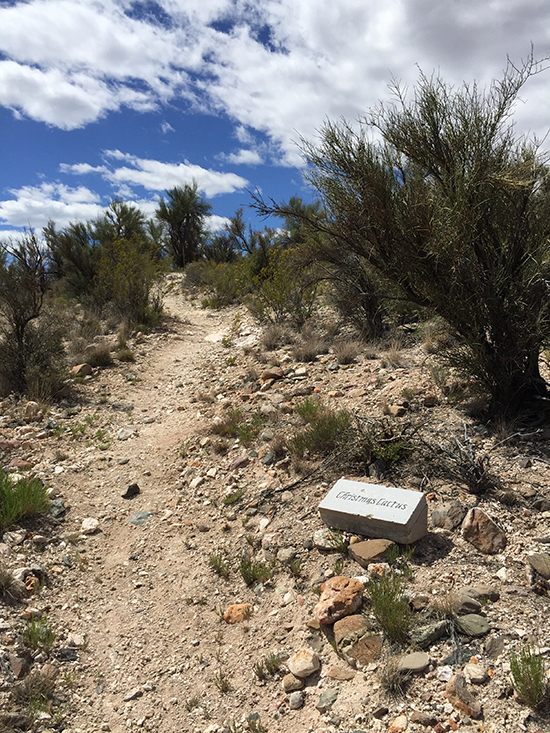 Verde-Valley-TT-plant-markers