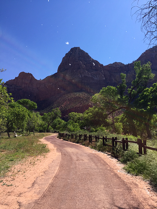 Zion-National-Park-path-cotton