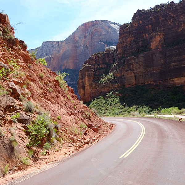 Zion-Shuttle-Road-View